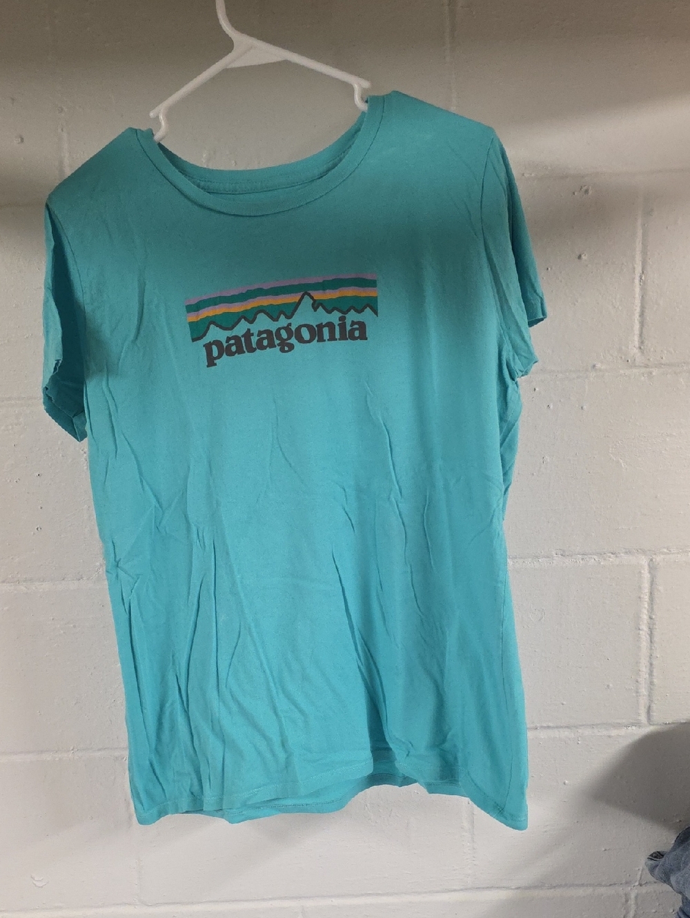 Patagonia Turquoise Mountain Logo Tee